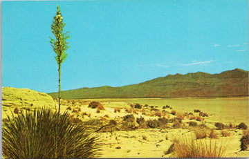 Salt Flats Texas TX Guadalupe Mountains US Highway 180 Unused Postcard S2
