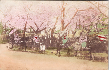 Yokohama Japan Rickshaws Women Cherry Trees Postcard S2
