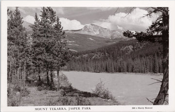 Mount Tekarra Jasper Park Alberta AB Harry Rowed RPPC Unused Postcard S2