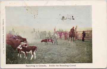 Ranching in Canada Inside the Branding Corral c1906 MacFarlane Postcard S2