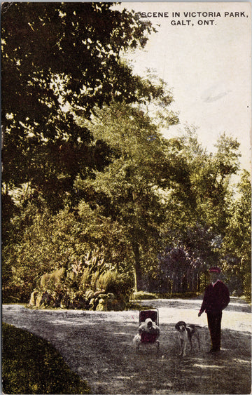 Galt Ontario Victoria Park Dog Man Child UNUSED Warwick & Rutter Postcard S3