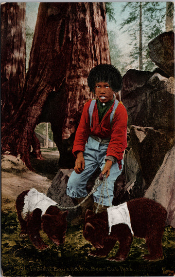Indian Boy and Bear Cubs Native American and Pets Unused Mitchell Postcard S3