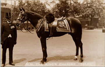Delhi HM The King's Charger Horse England Unused Real Photo Postcard S3