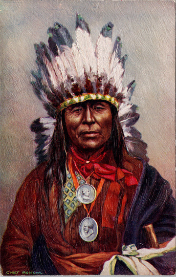 Chief Iron Owl Native American Indian Chief Textured Unused Tuck Postcard S3