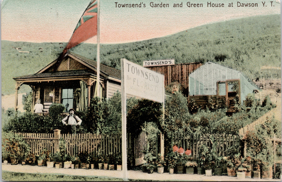 Dawson Yukon Townsend's Garden & Green House The Florist c1911 Postcard S3