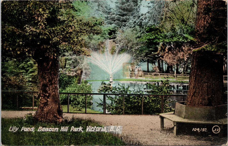 Lily Pond Beacon Hill Park Victoria BC British Columbia Unused Postcard S3