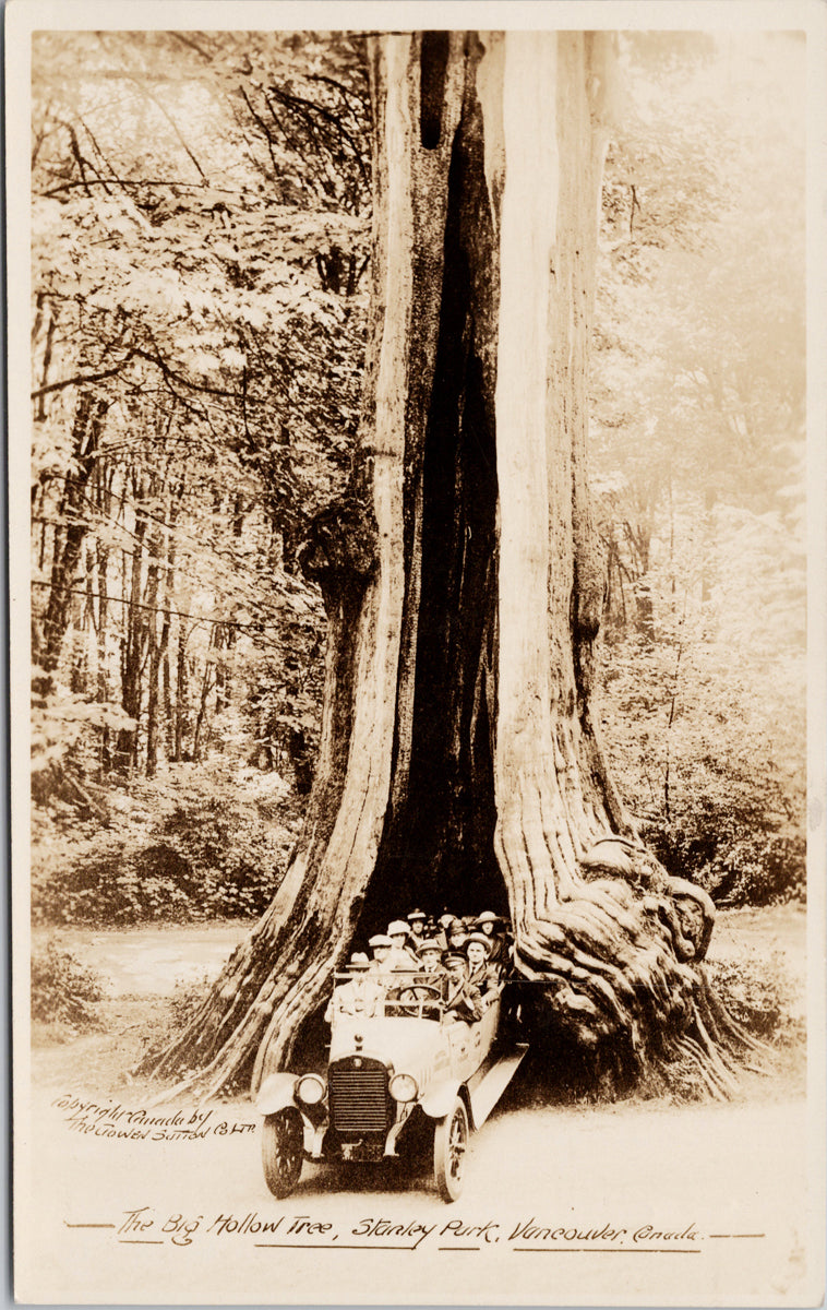 Big Hollow Tree Stanley Park Vancouver BC Automobile Gowen Sutton RPPC Postcard S3