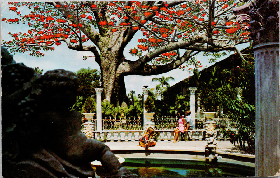 Kapok Tree Kapok Tree Inn Clear Water Florida FL Postcard S3