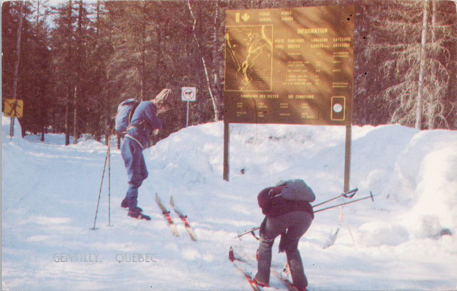 Cross Country Skiing at La Mauricie National Park Quebec QC Postcard S3