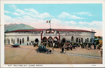 Bull Ring in C. Juarez Mexico Postcard S4