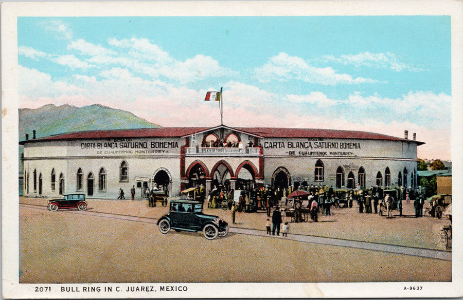 Bull Ring in C. Juarez Mexico Postcard S4