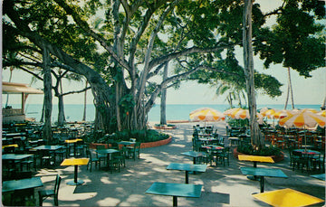 Honolulu HI Moana Hotel Banyon Tree Court
