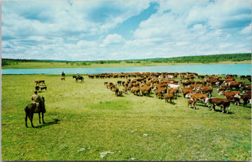 Chilcotin Round Up BC 