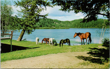 Canim Lake British Columbia 