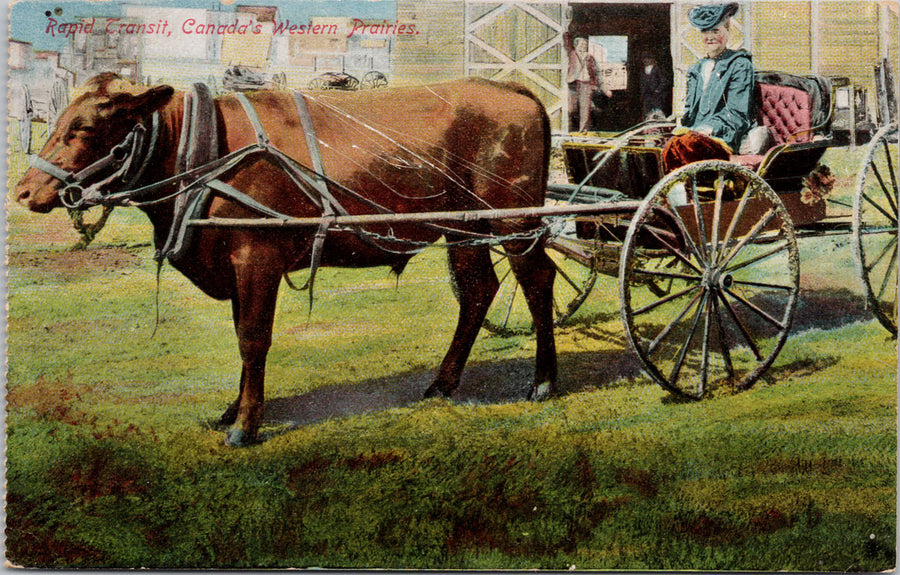 Rapid Transit Western Prairies Canada Cow Pulling Wagon 