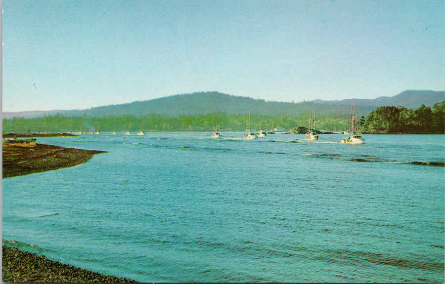 Fishing Fleet Sooke Harbour Vancouver Island Postcard