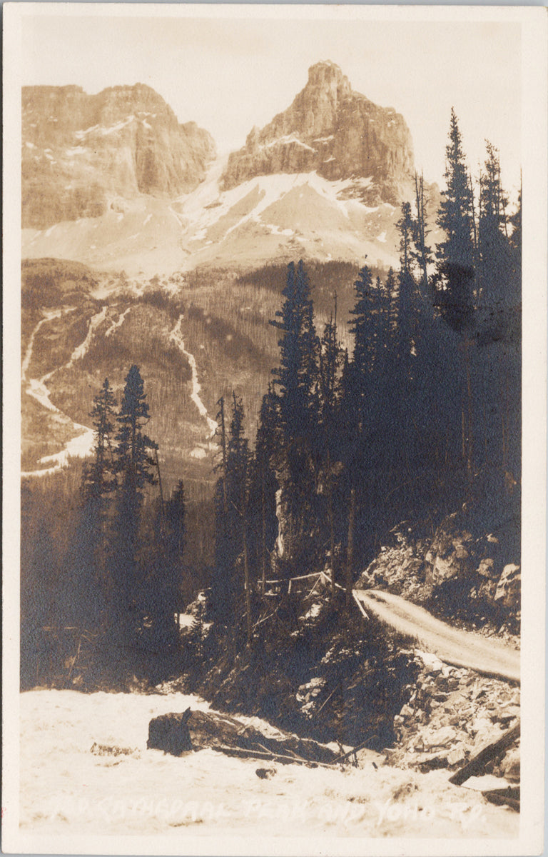 Byron Harmon 730 Cathedral Peak and Yoho Rd Postcard