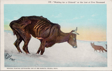 Charles Russell 'Waiting For A Chinook' MT Montana Cow Starving Coyote Postcard S5