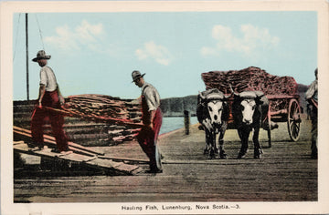 Hauling Fish Lunenburg NS Postcard