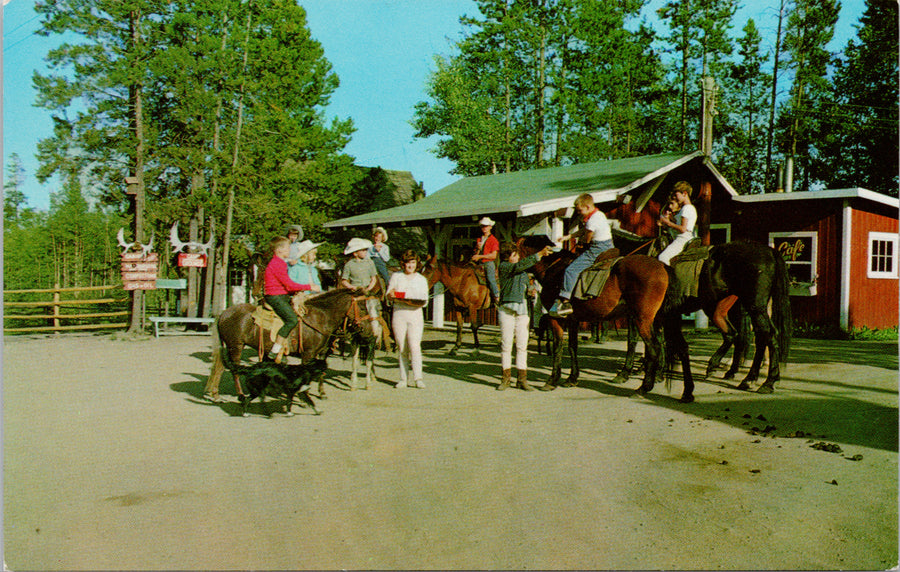 Lone Butte Auto Camp & Children's Dude Ranch 93 Mile House BC Postcard 