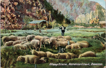 Dawson Yukon Sheep Scene Bonanza Creek Unused Postcard 