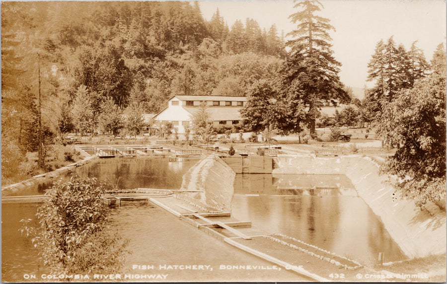 Fish Hatchery Bonneville OR Unused Cross & Dimmitt Real Photo Postcard 