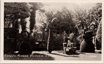 Victoria BC Garden Hedges Man Sitting BC Printing & Litho Postcard 