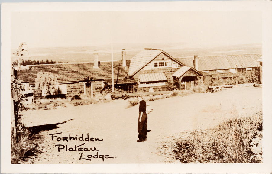 Forbidden Plateau Lodge Ski Resort Courtenay BC Comox Valley Postcard 