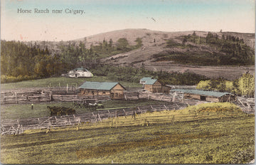Horse Ranch near Calgary Alberta AB Horses Ranching c1911 Pearson Postcard S6