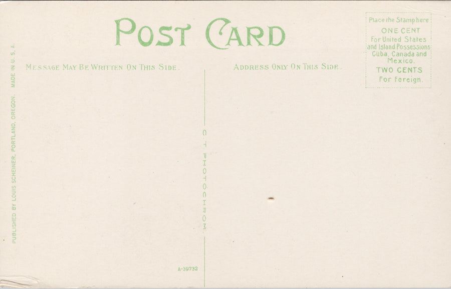 Portland Oregon Coming Of The White Man Statue City Park Unused Postcard S6