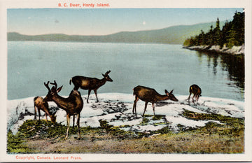 Deer Hardy Island BC Unused Leonard Frank Postcard