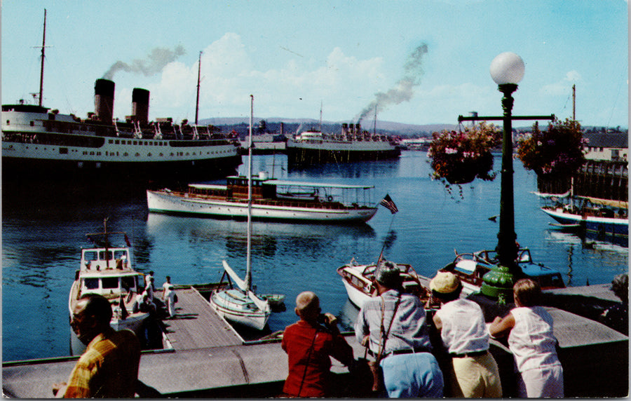 Victoria BC Harbour & Ships Postcard 