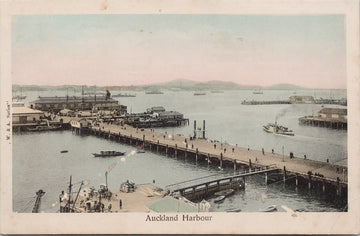 Auckland Harbour NZ New Zealand Postcard 