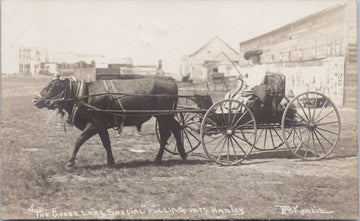 Hanley Saskatchewan 'Goose Lake Special' Postcard 