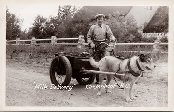 Vanderhoof BC Milk Delivery Dog Cart Postcard 