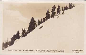 Coasting in Paradise Rainier National Park WA Washington Asahel Curtis #36617 RPPC Postcard