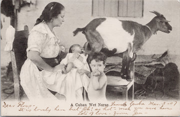 A Cuban Wet Nurse Cuba Baby Child Goat Postcard 