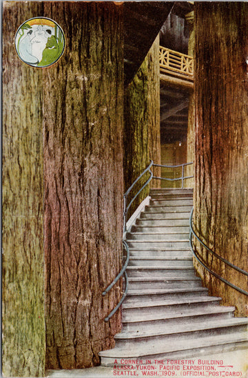 Seattle WA Forestry Building Stairs AYPE Washington Postcard 