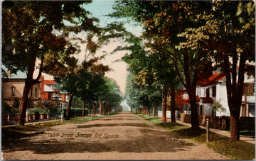 Simcoe Ontario Talbot Street Postcard