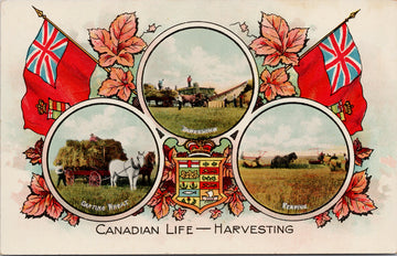 Canadian Life Harvesting Prairies Farming Wheat Canada Patriotic Postcard 