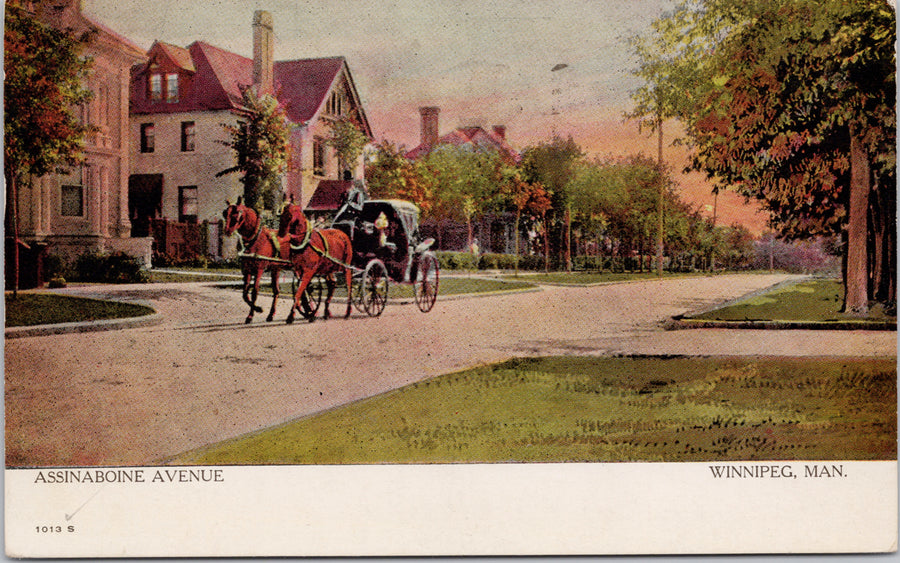 Winnipeg MB Assiniboine Avenue #1013S Warwick c1907 Postcard 