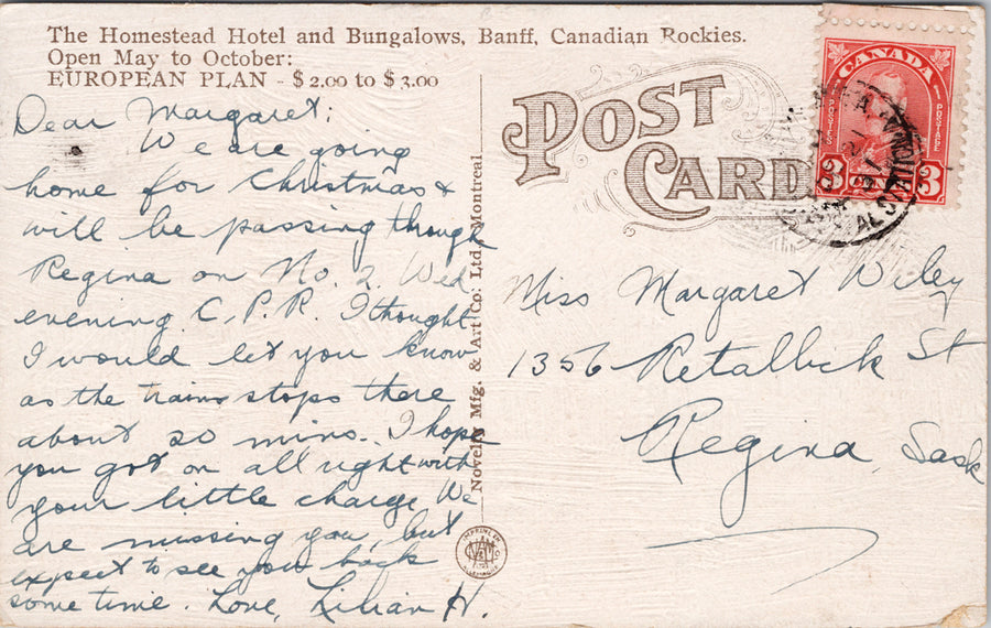 Banff Alberta The Homestead Hotel & Bungalows AB Textured Novelty Postcard SP9