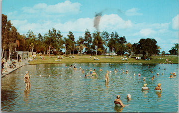 Warm Mineral Springs on US 41 south of Venice FL Florida USA Postcard
