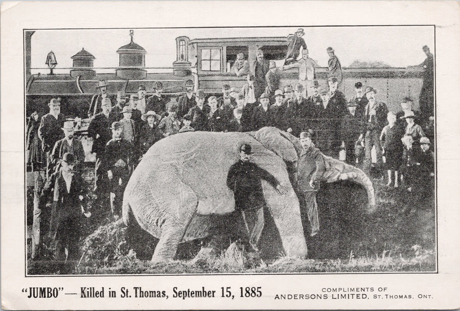 Barnum & Bailey Circus Elephant 'Jumbo' Killed by Locomotive in St. Thomas Ontario ON 1885 Andersons Ltd Unused Litho Postcard