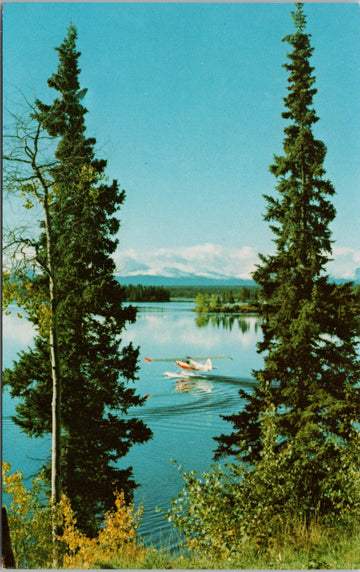 Nimpo Lake BC British Columbia Chilcoutin Country Floatplane Unused Vintage Postcard 