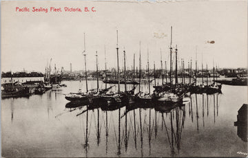 Pacific Sealing Fleet Victoria BC British Columbia c1912 WJ Clubb Postcard SP9