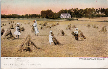 Harvest Scene Prince Edward Island WS Louson Postcard 