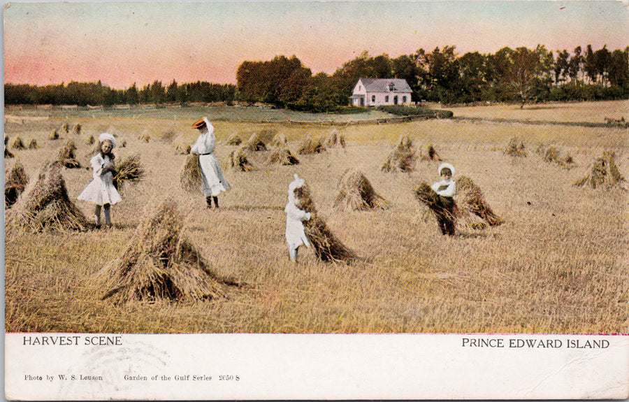 Harvest Scene Prince Edward Island WS Louson Postcard 