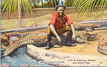 St Augustine FL Alligator Ostrich Farm Black Man Sitting Alligator Postcard 