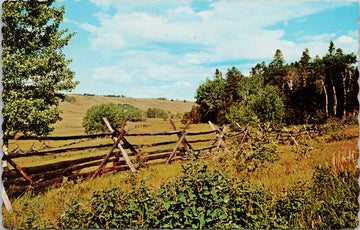 Russel Rangeland Fence BC British Columbia Unused Vintage Postcard 